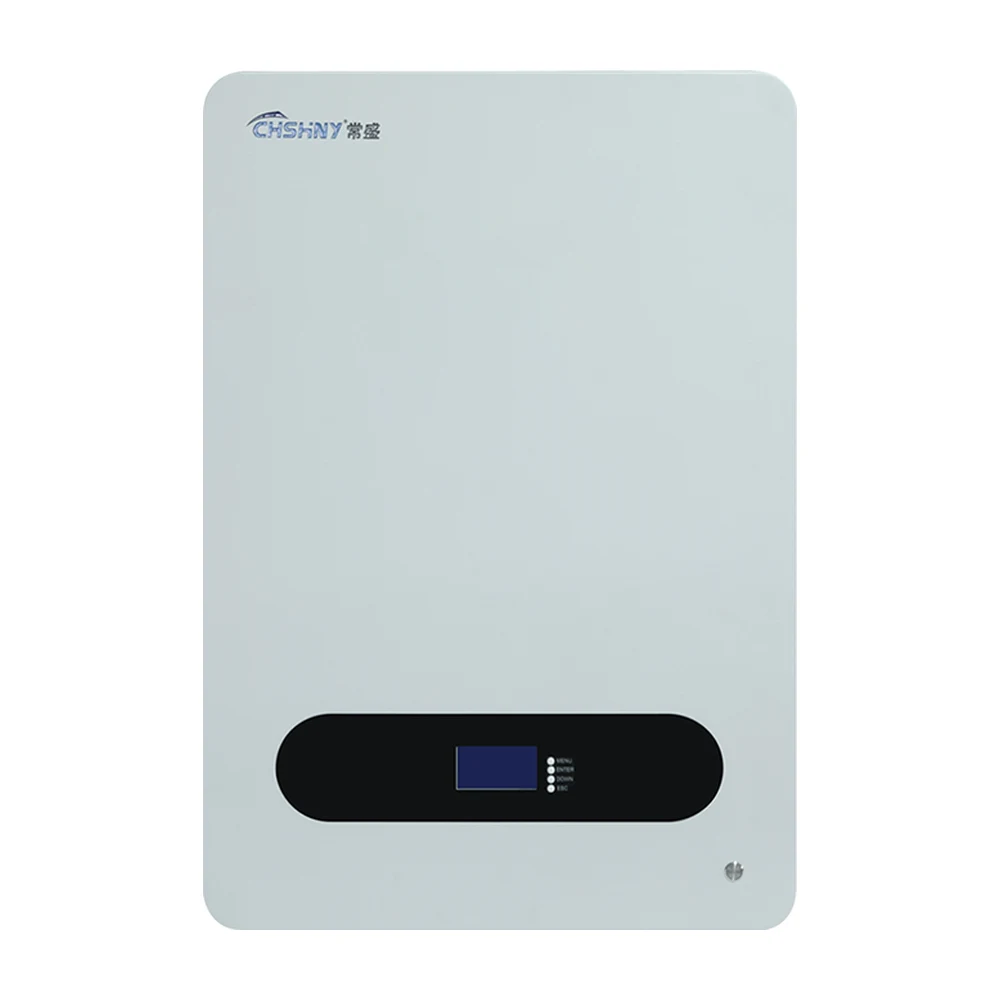 CHSHNY 10.24 kWh Wall-mounted battery